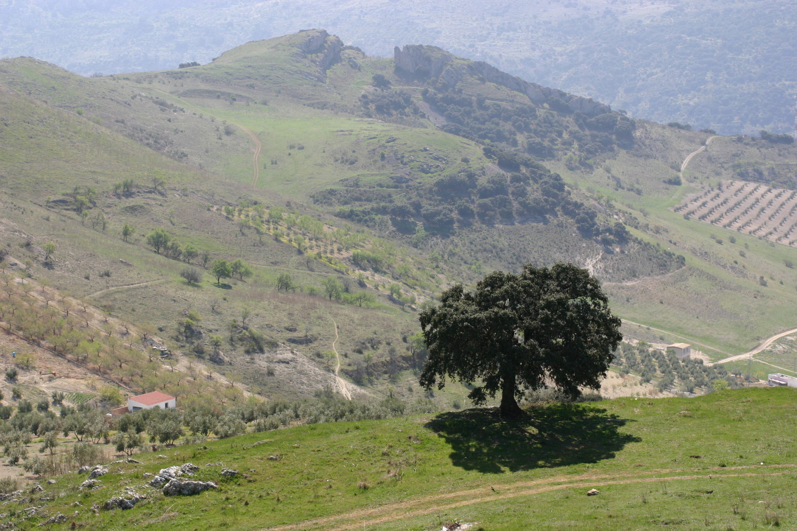 Ruta de los Recintos Fortificados en Doña Mencía.