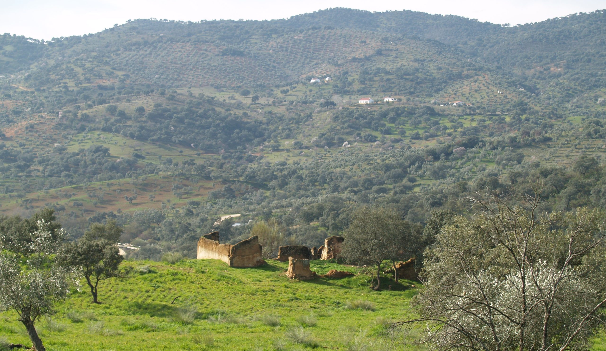 Ruta del Cerro del Pico de la Perdiz en Obejo