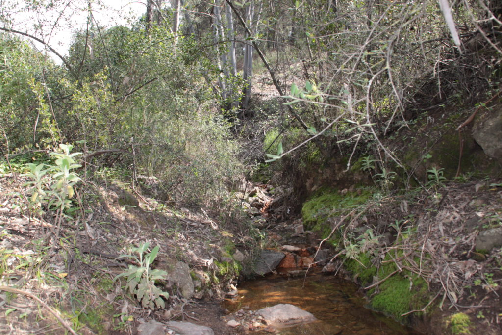 Arroyo del Pontejón