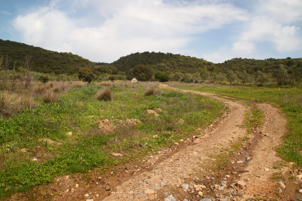 Camino hacia el Arca de la Fuente