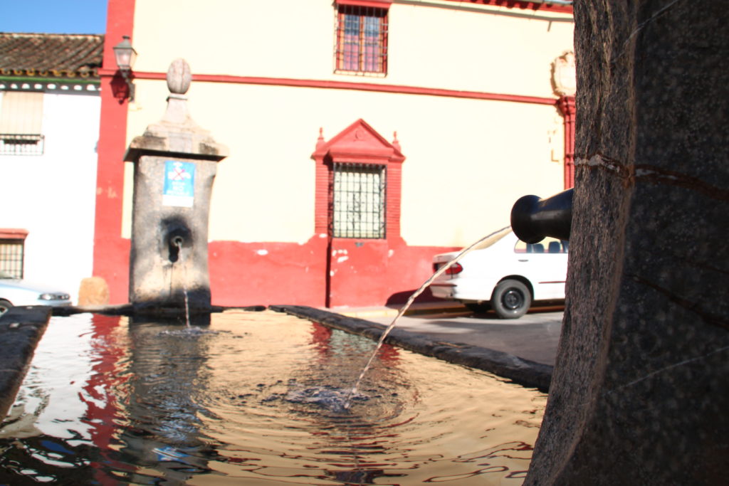 Detalle de la Fuente de los Dos Caños