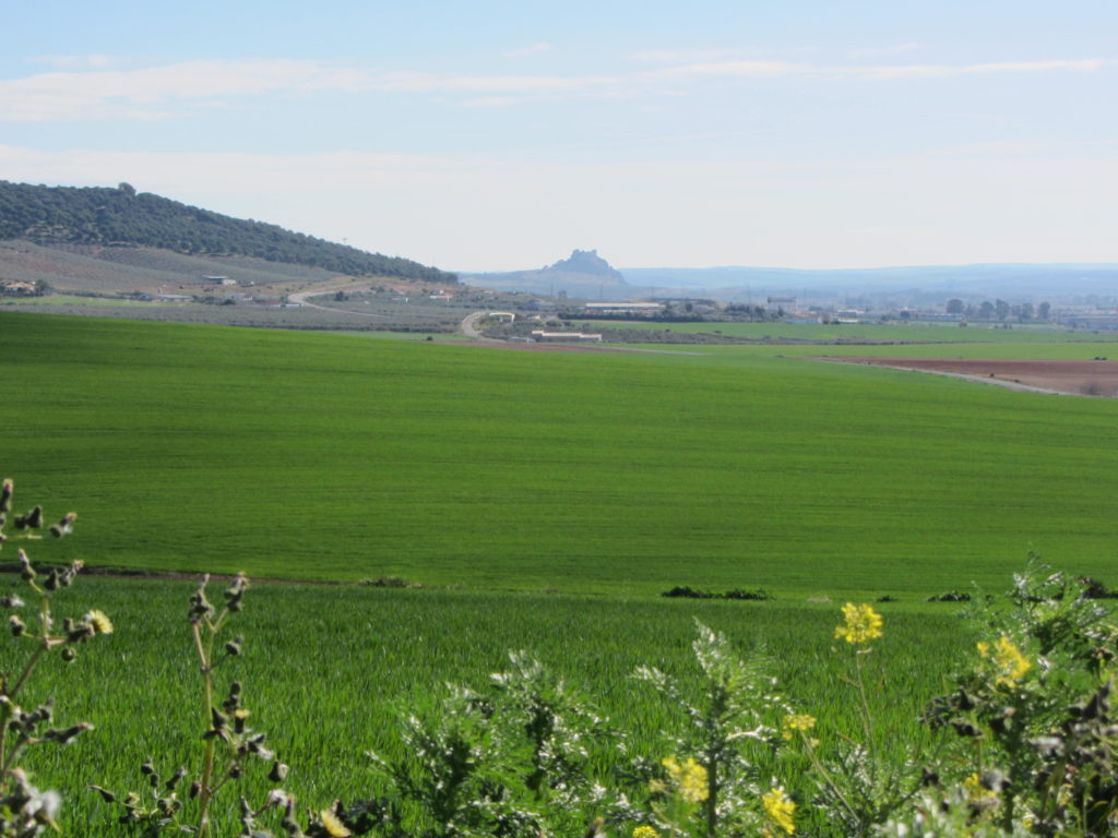 Vista del Castillo de Almodóvar desde el paraje de la ruta de Paterna