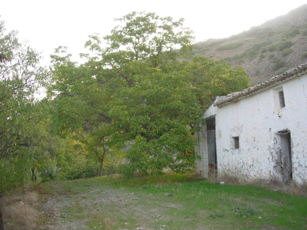 Cortijo del Alborozor