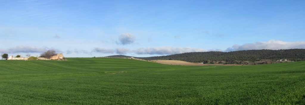 Panorámica de la ruta de Paterna