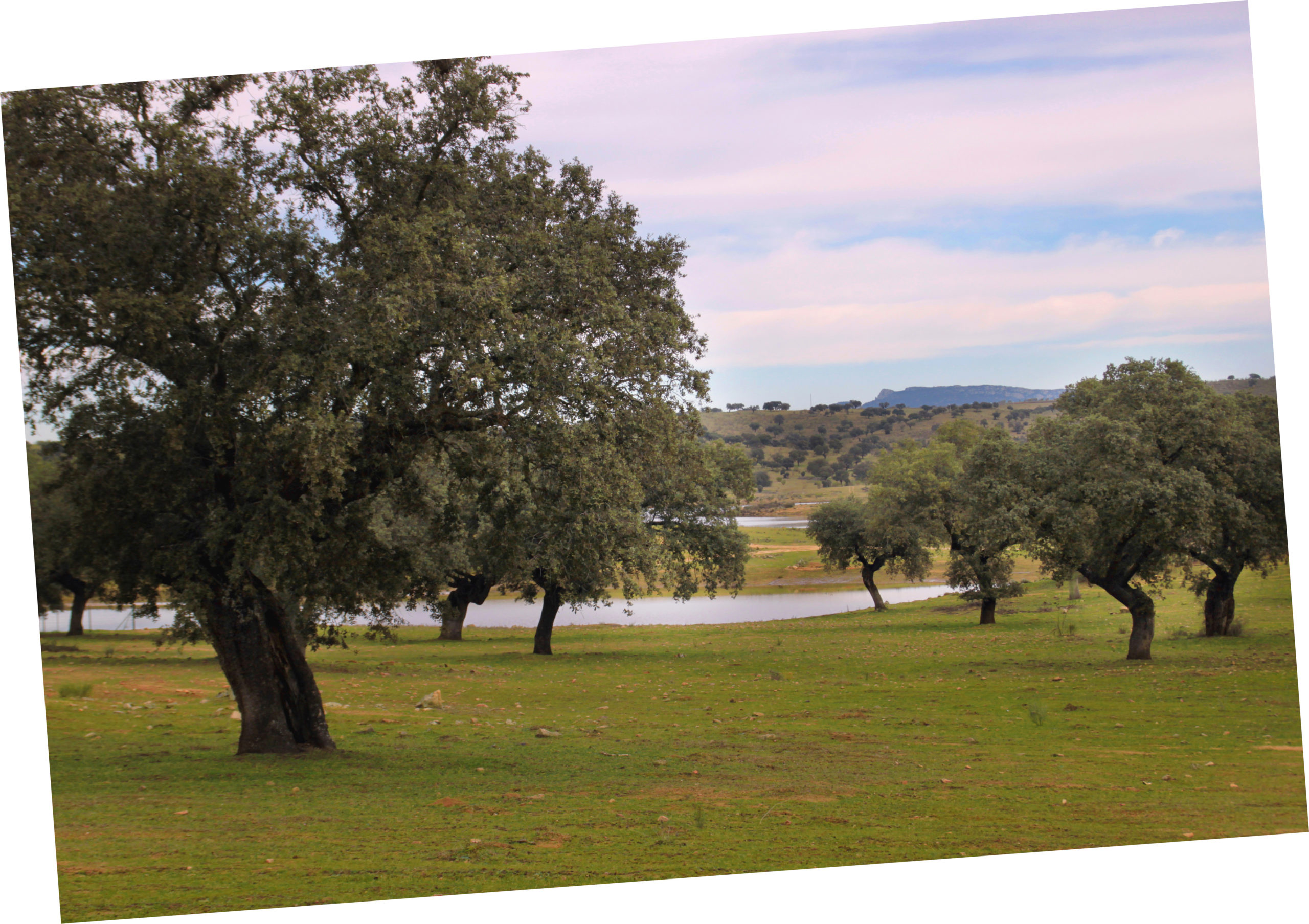 Ruta del Embalse de La Colada en El Viso