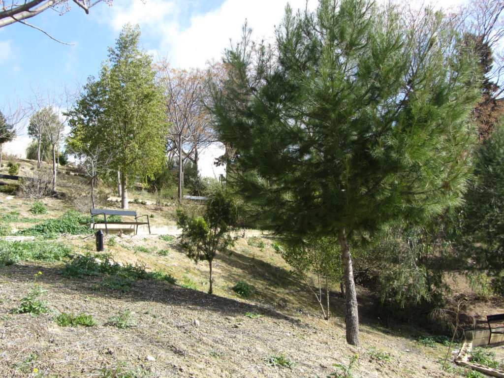  Parque del Pozuelo