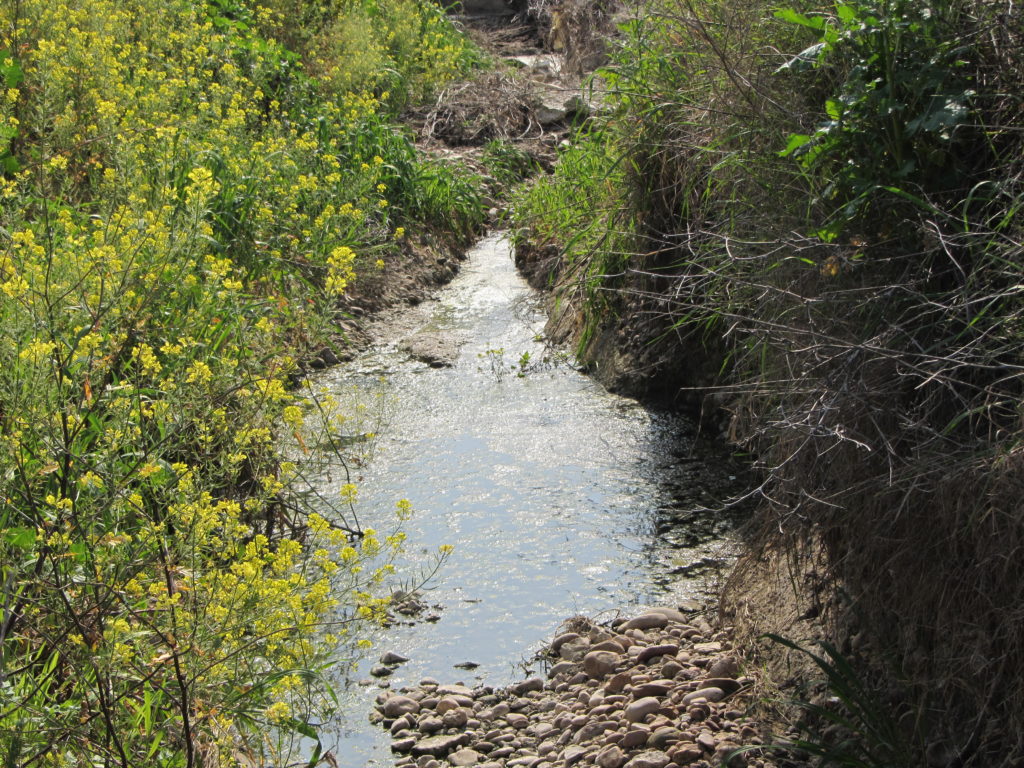 Arroyo de Ballesteros