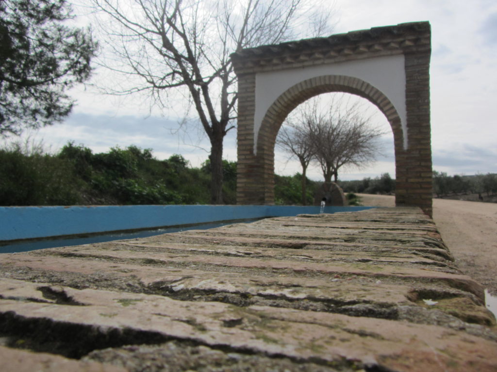 Detalle de la fuente de la Vereda de la Blanca