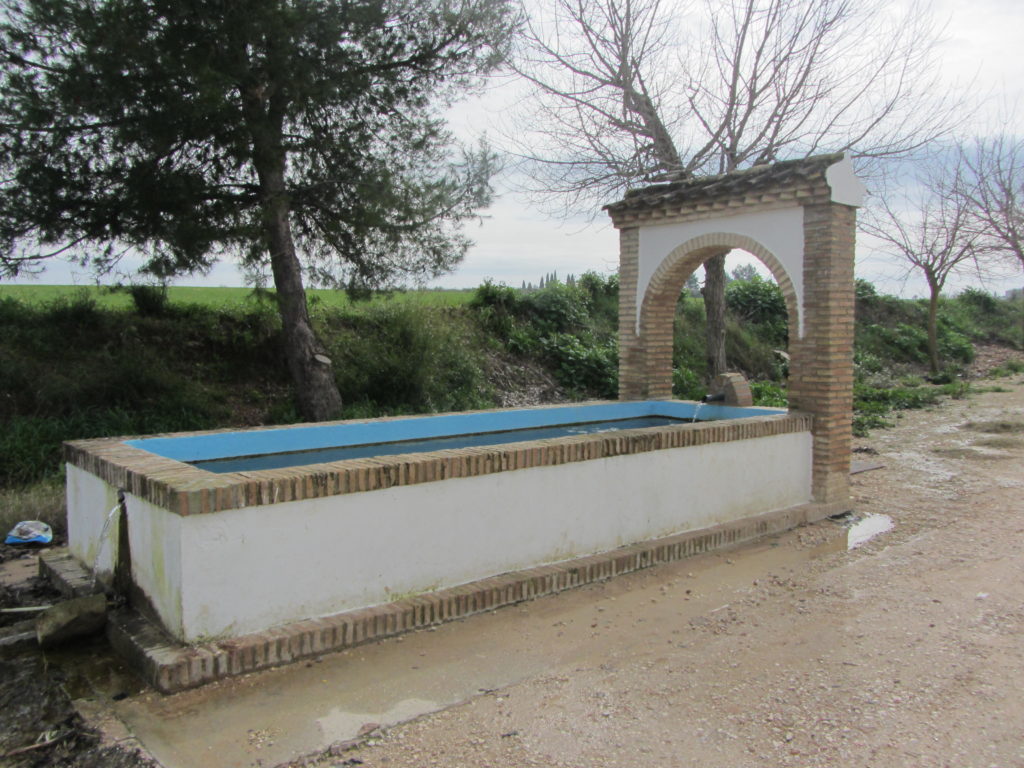 Fuente de la Vereda de la Blanca