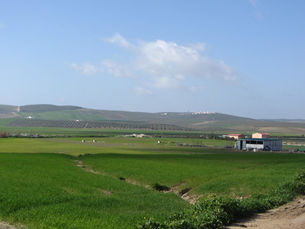 Vista desde el Camino del Fontanar (con la aldea de El Fontanar al fondo)