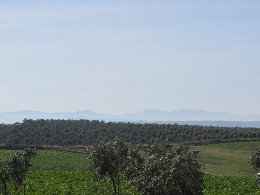 Vista de las Sierras Subbéticas