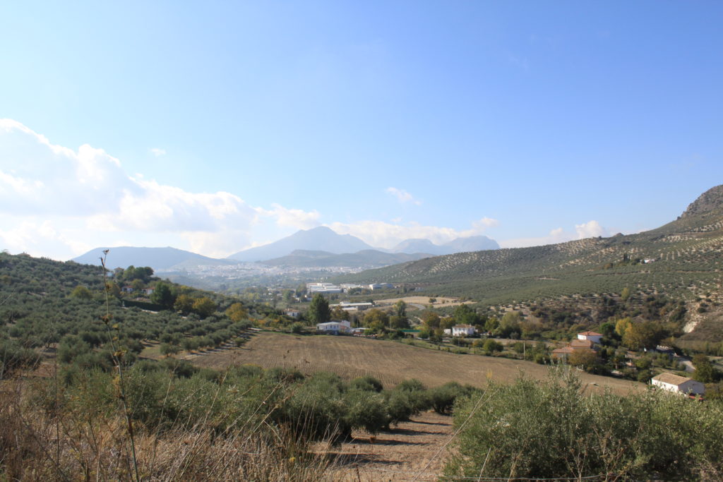 Ruta del Camino del Alborozor en Priego de Córdoba