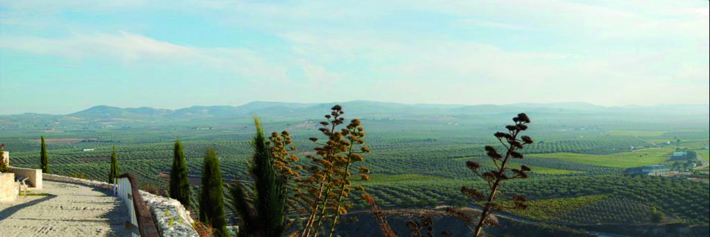 Vista panorámica de la Sierra de Montilla desde el mirador del Criptopórtico de los Paseíllos 