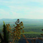 Vista panorámica de la Sierra de Montilla desde el mirador del Criptopórtico de los Paseíllos 