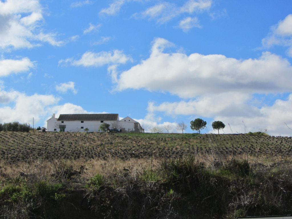 Cortijo Moreno