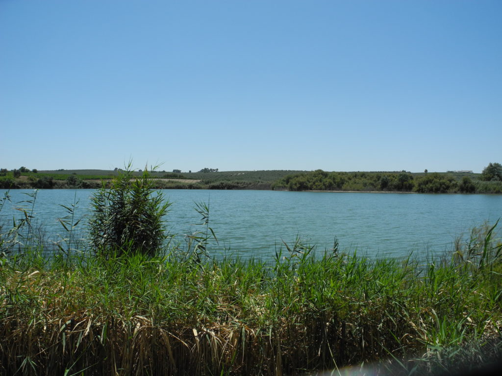 Reserva Natural de la Laguna del Rincón