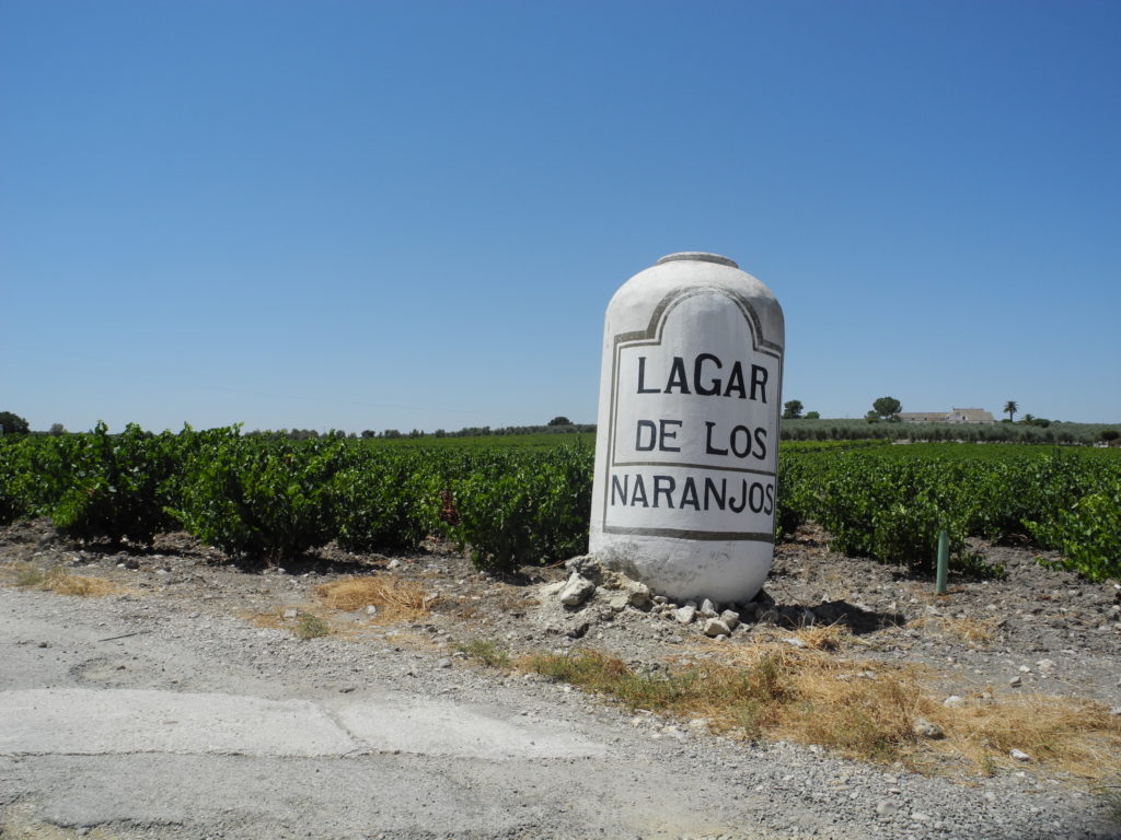 Vereda de Los Naranjos