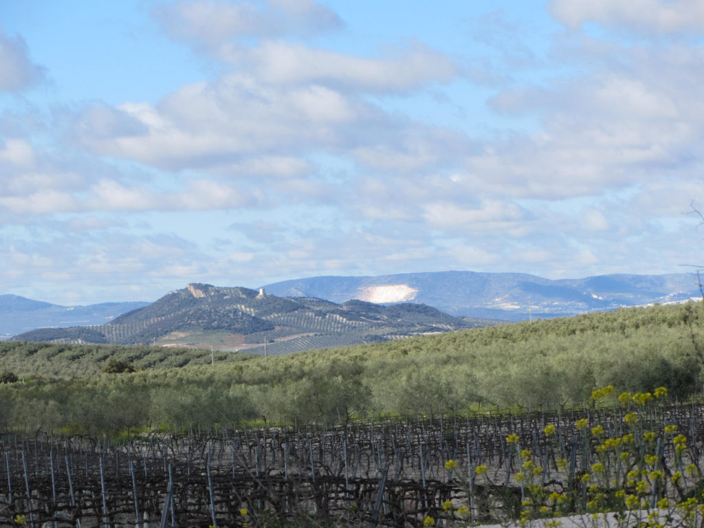 Vistas del Castillo Anzur (Puente Genil) desde el km 3 de la Ruta