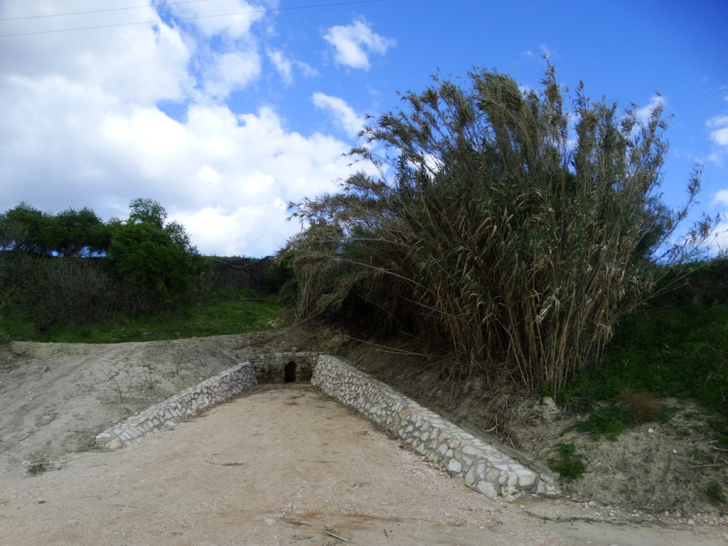 Poza de La Alcubilla (J. Raya)