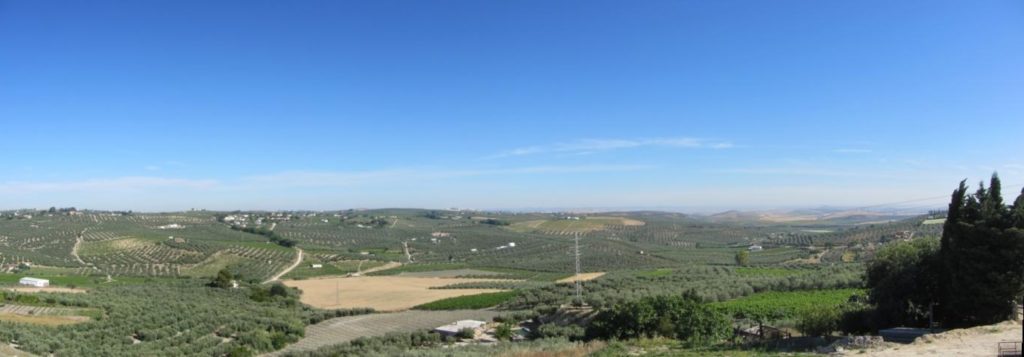 Vista panorámica desde el Balcón de la Escuchuela