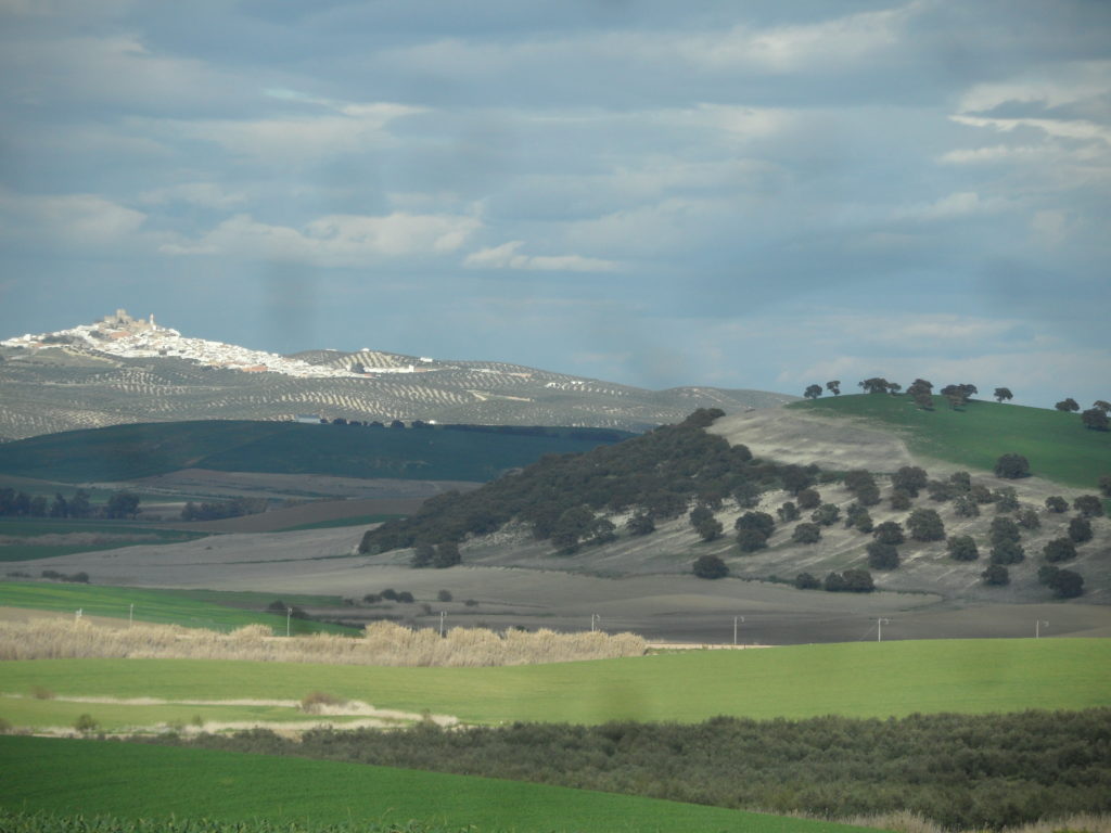 El Manchón de los Navarro (Montemayor) desde el km 3 de la Ruta (J. Raya)