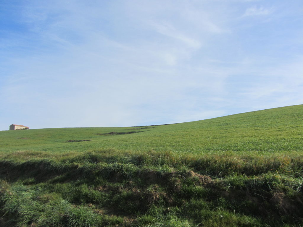 Paisaje de Belalcázar pasado el km 2 de la ruta