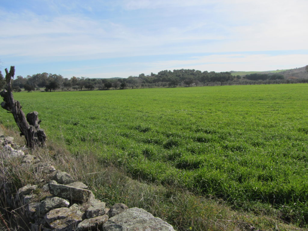 Paisaje en el km 6.5 de la ruta