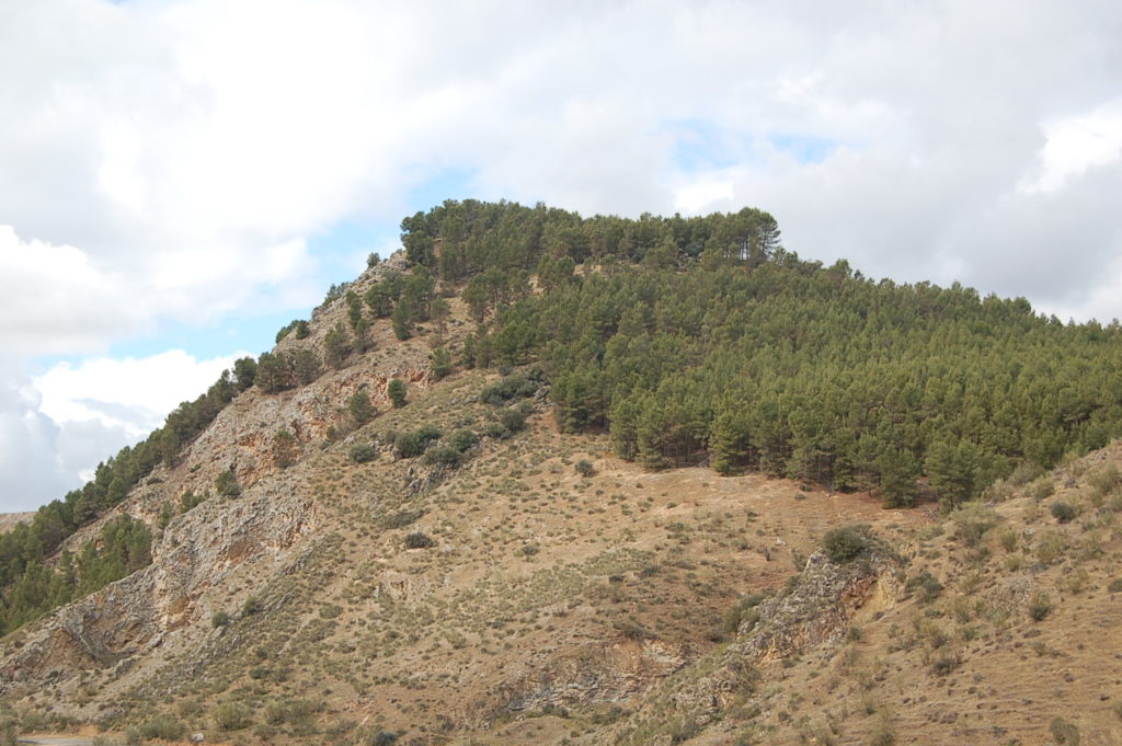 Paisaje de Benamejí