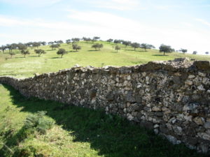 Cercado típico de Los Pedroches