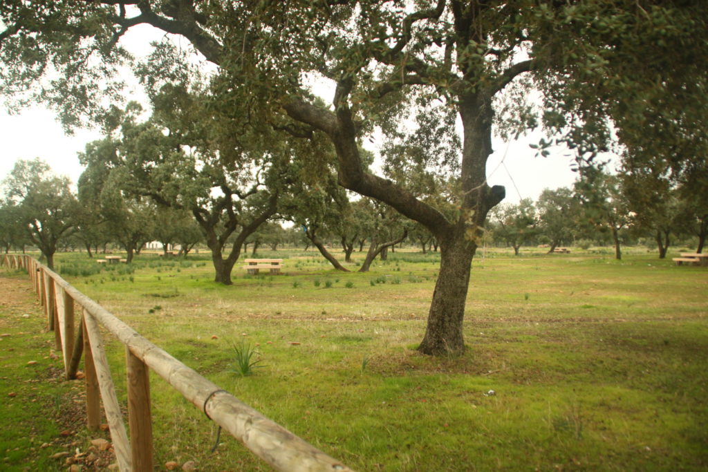 Monte de Las Pinedas (La Carlota)