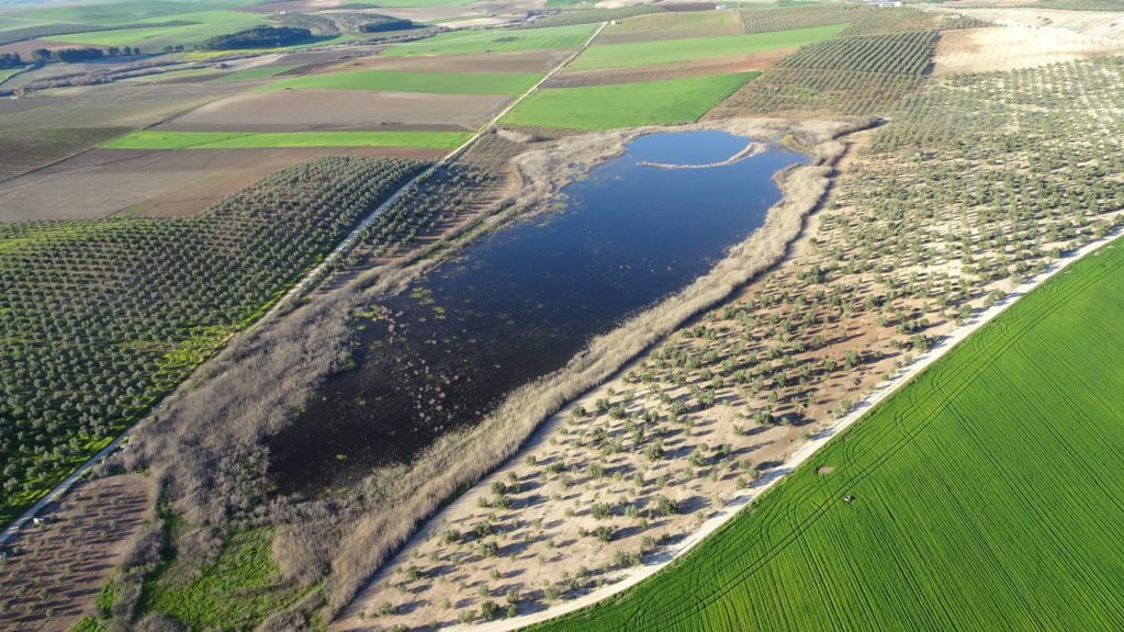 Foto aérea de la Laguna del Donadío en la actualidad