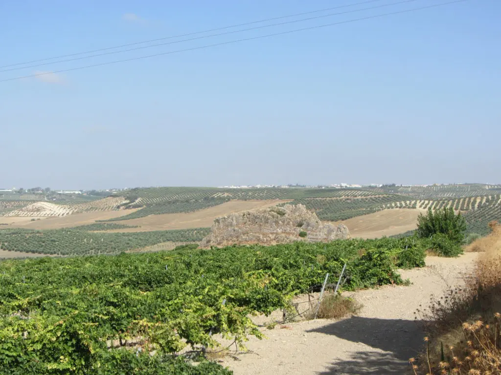 Piedra Luenga desde la Vereda del Ejido