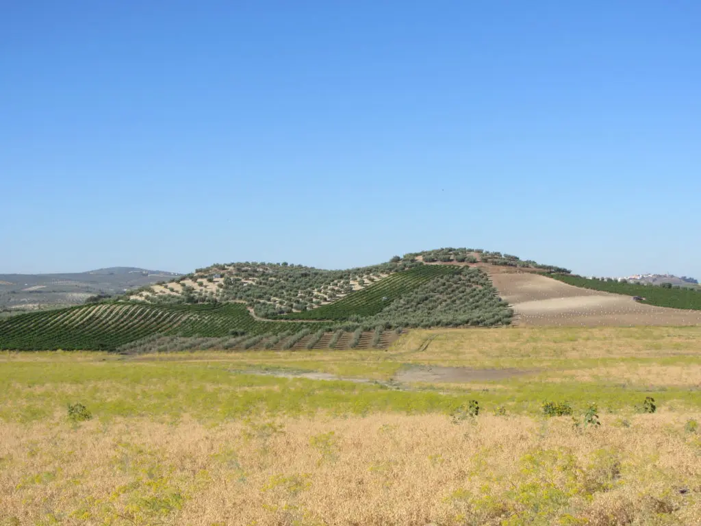 Vista desde km 3.5