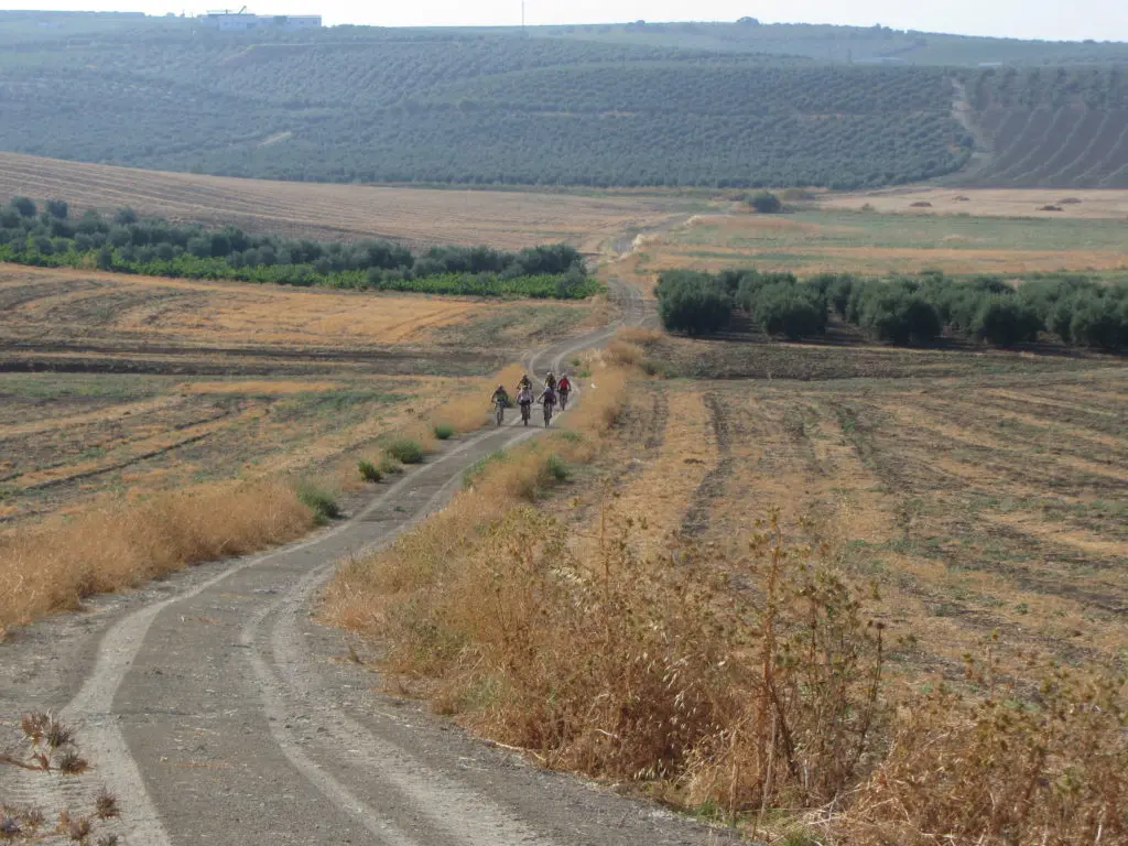 Camino de Riofrio