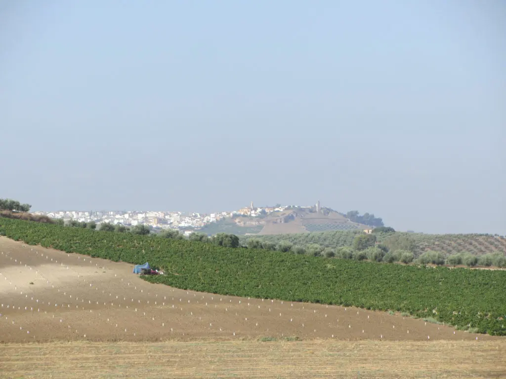 Vista de Aguilar de la Frontera