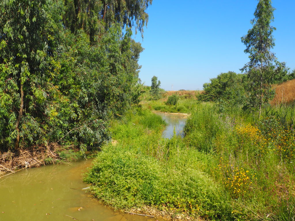 Arroyo de las Culebras