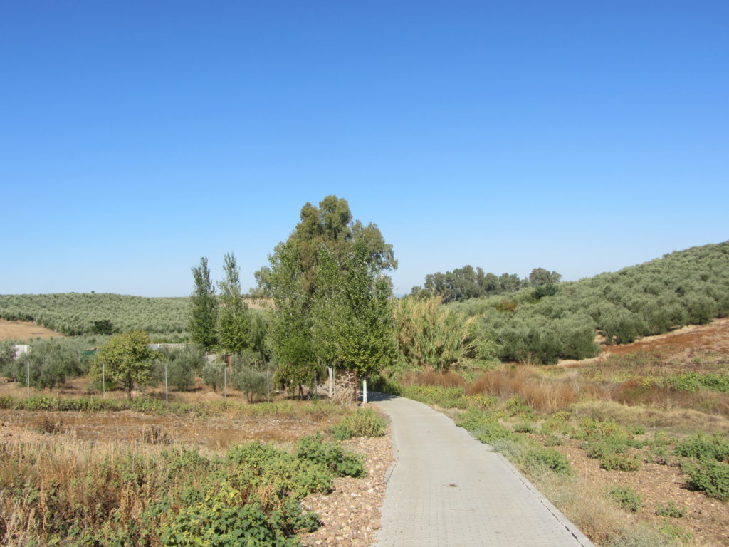 Sendero peatonal hacia la Fuentecilla