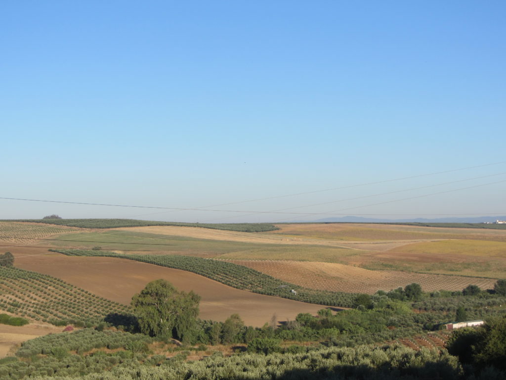 Panorámica desde el mirador