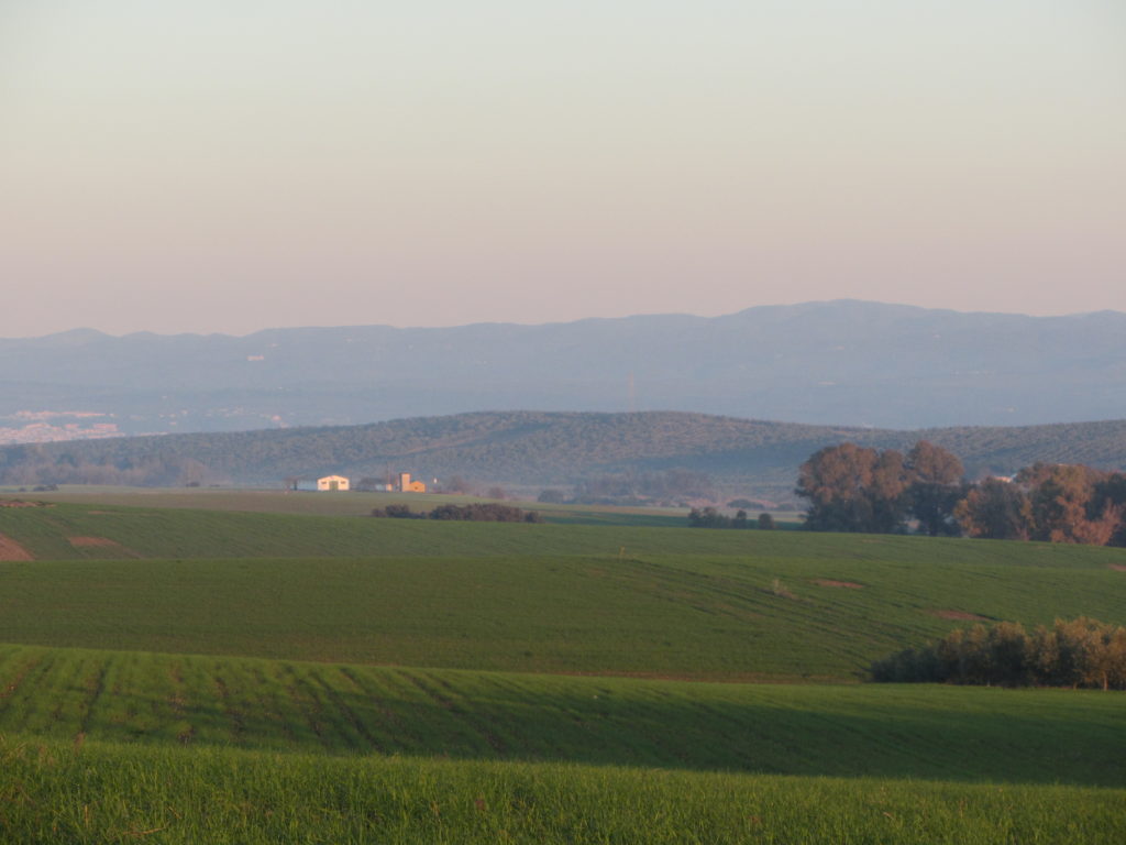 Paisaje en Guadalcázar con Sierra Morena al fondo