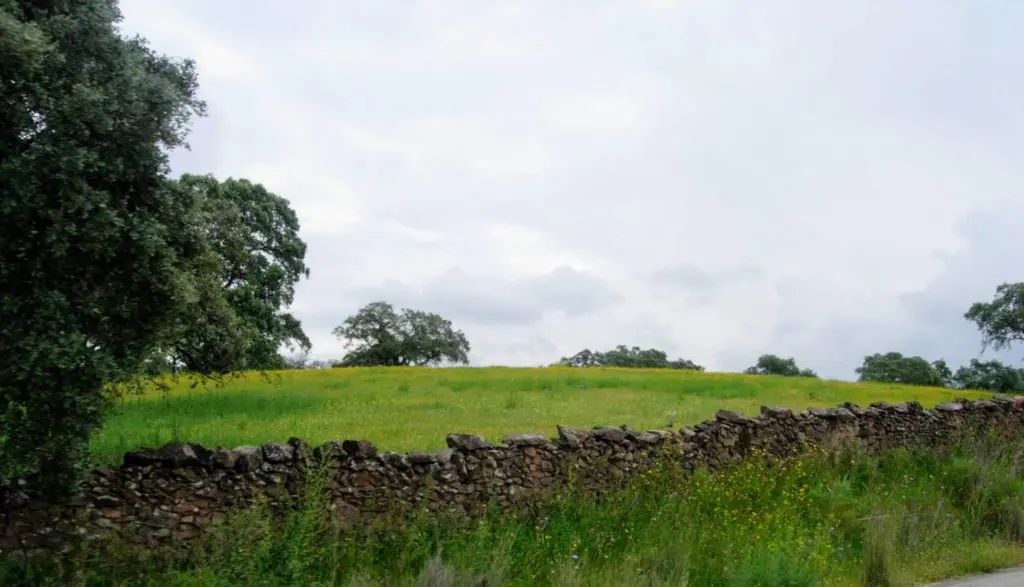 Fotografía de la Ruta de Adamuz