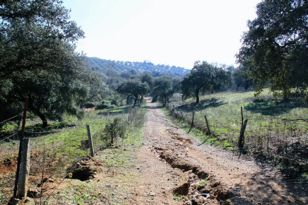 Fotografía de la Ruta de Adamuz