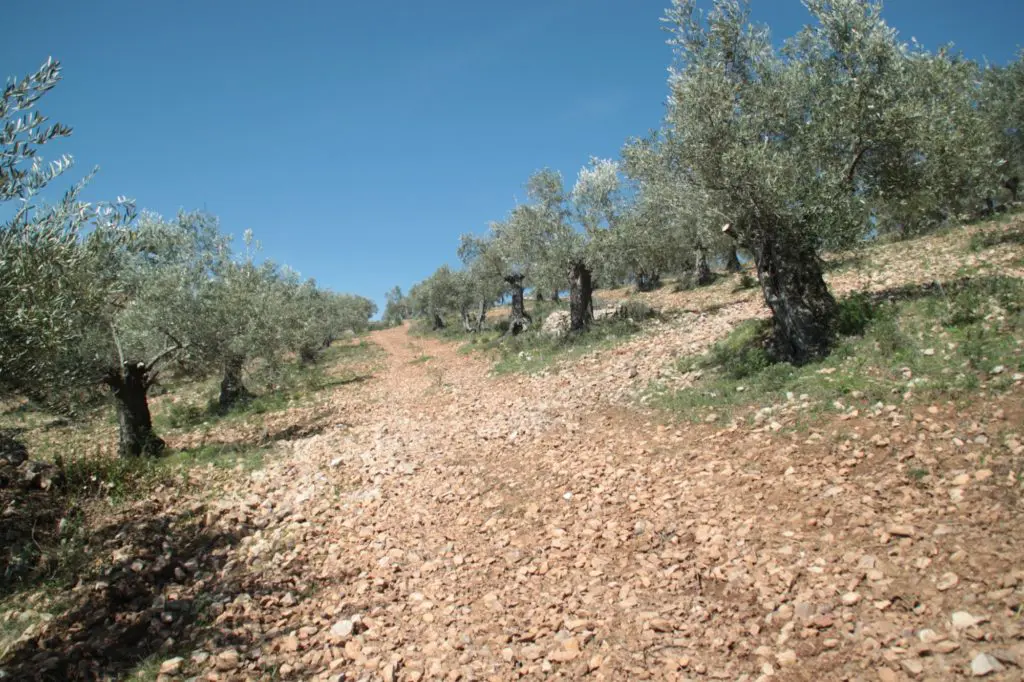 Ruta en Pozoblanco