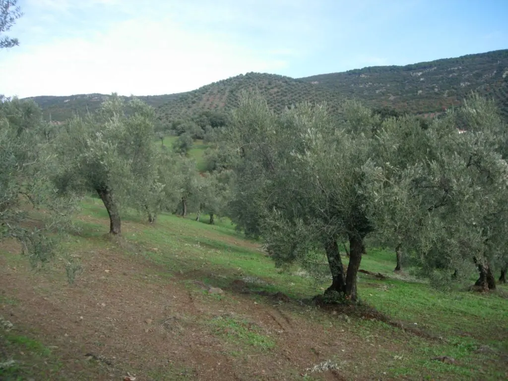 Ruta en Pozoblanco