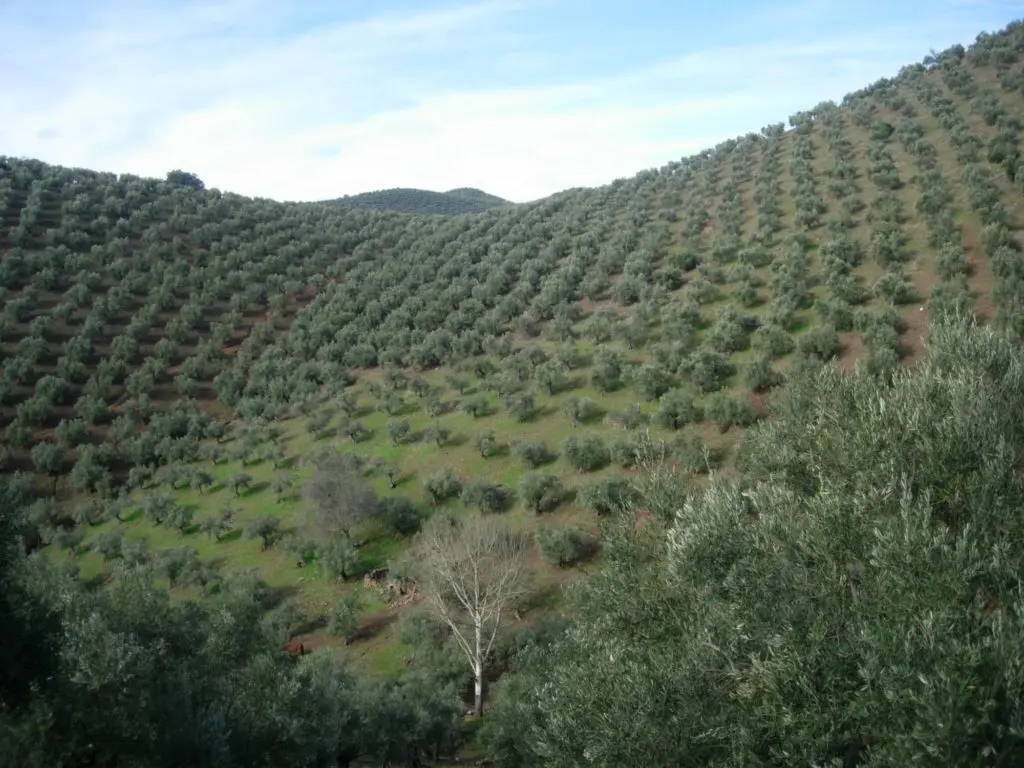 Ruta en Pozoblanco