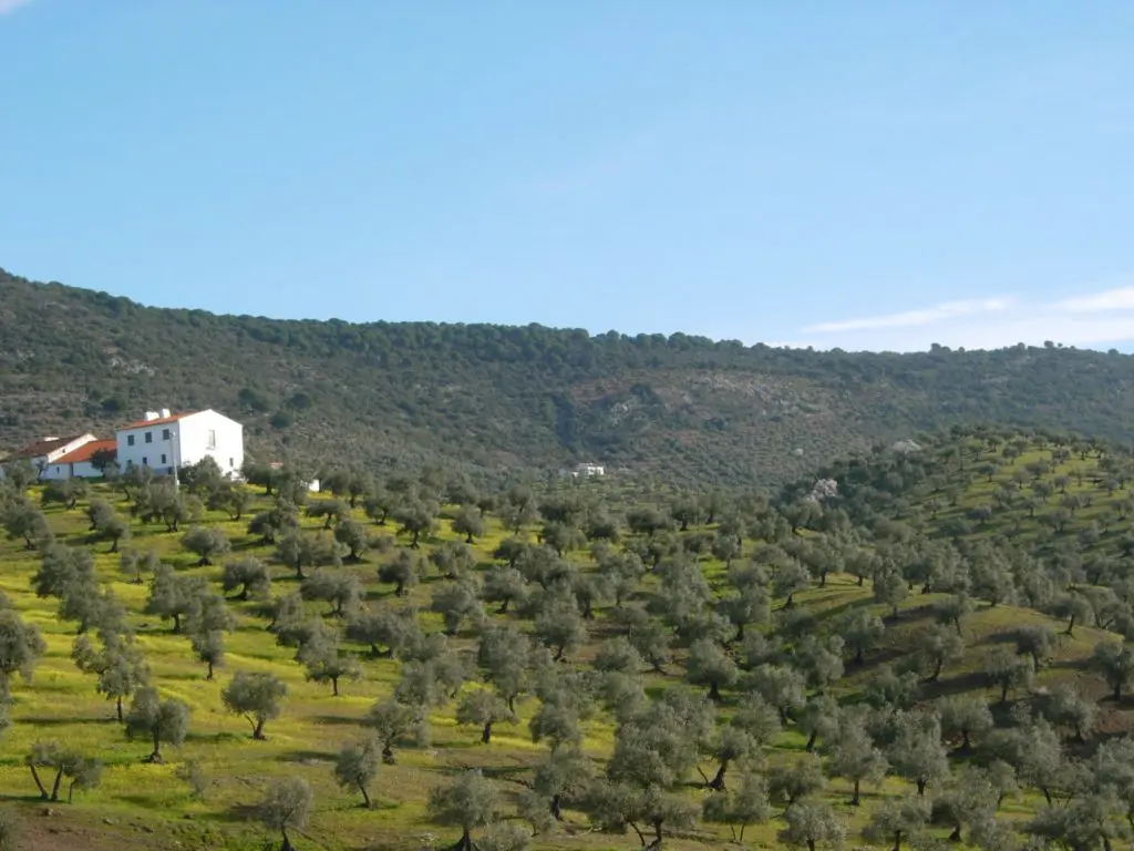 Ruta en Pozoblanco